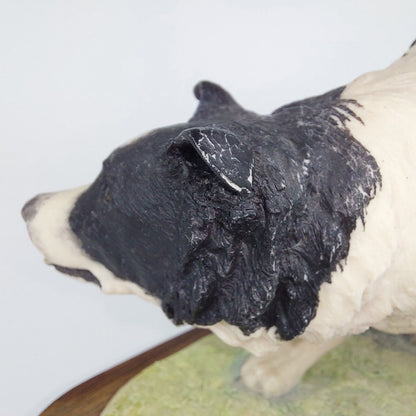 Border Fine Arts 'by F. Waugh' - Rare 1987 Collectible Dog Figurine, Scotland