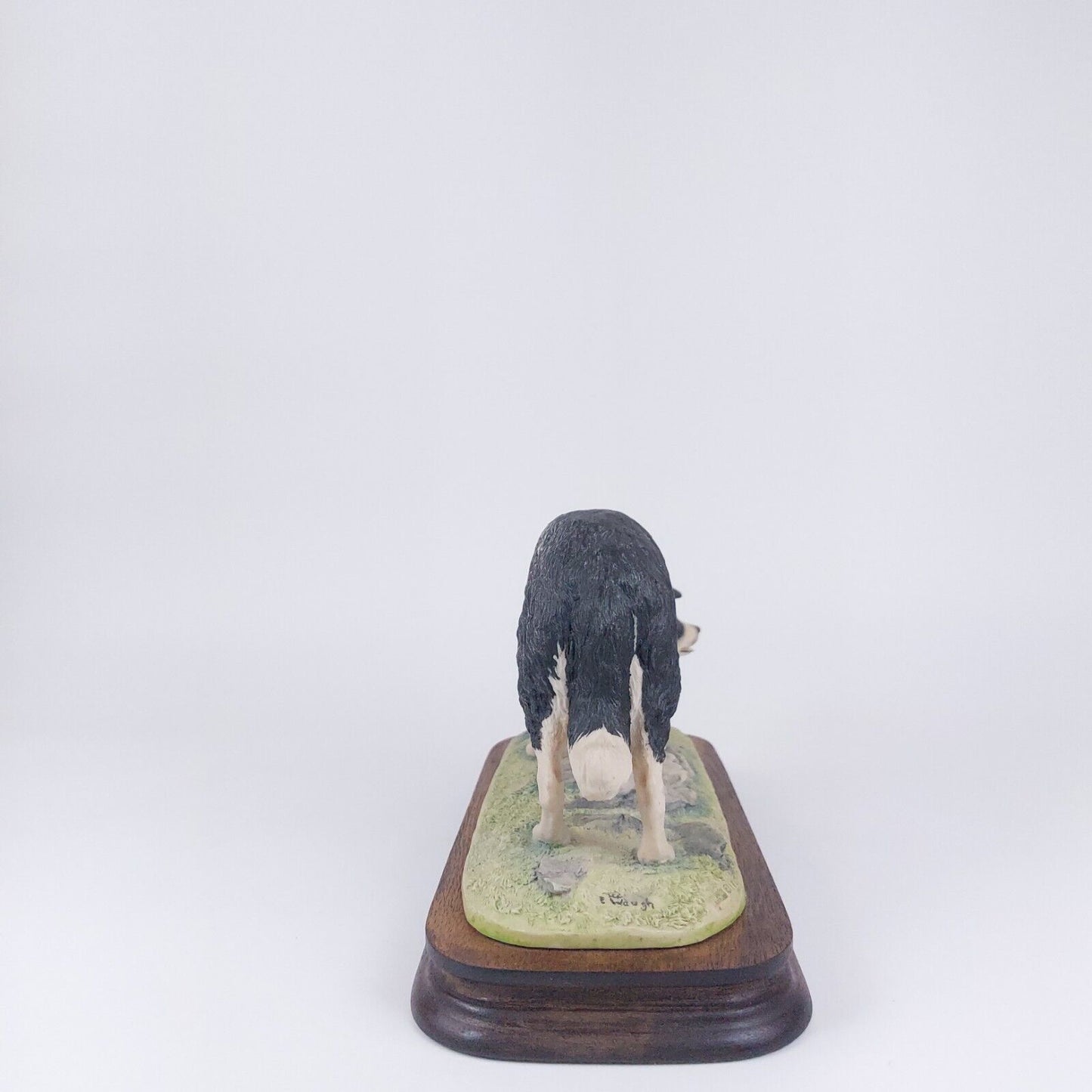 Border Fine Arts 'by F. Waugh' - Rare 1987 Collectible Dog Figurine, Scotland